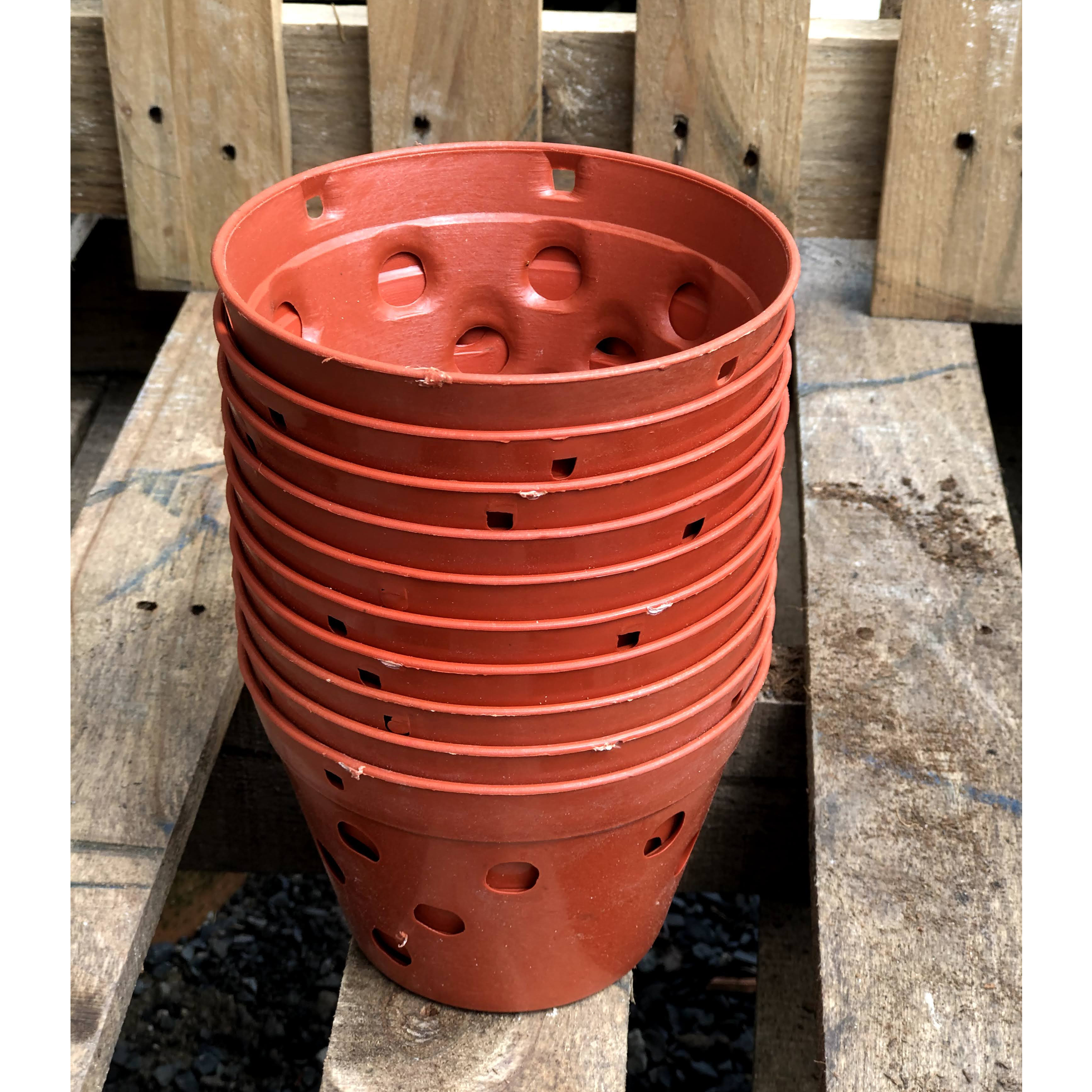 Bộ 10 chậu trồng Lan giả đất fi 145 x 100 mm