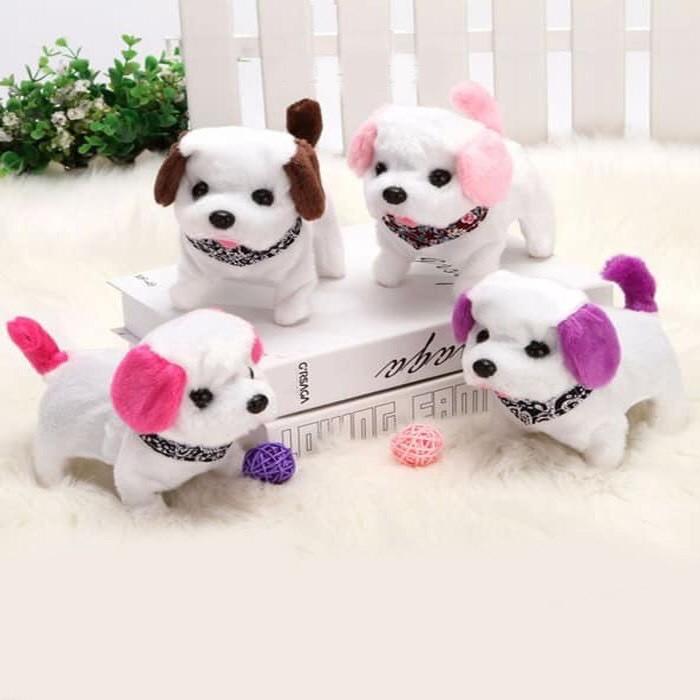 Chó bông xinh xắn biết đi, biết sủa, biết gật đầu