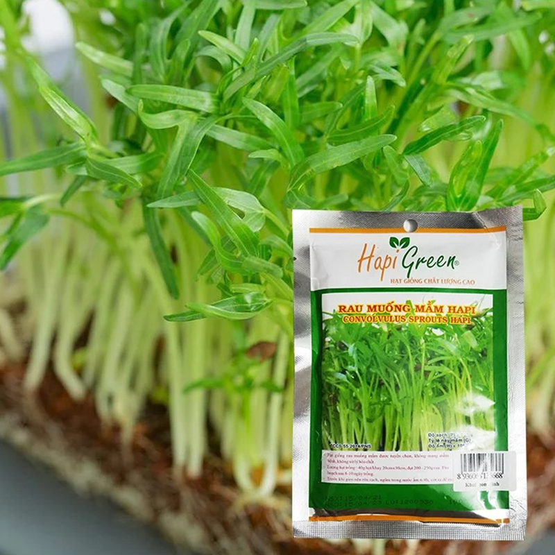 Hạt giống cải mầm Sprouting Radish Happi Green - Gói 120 Gram