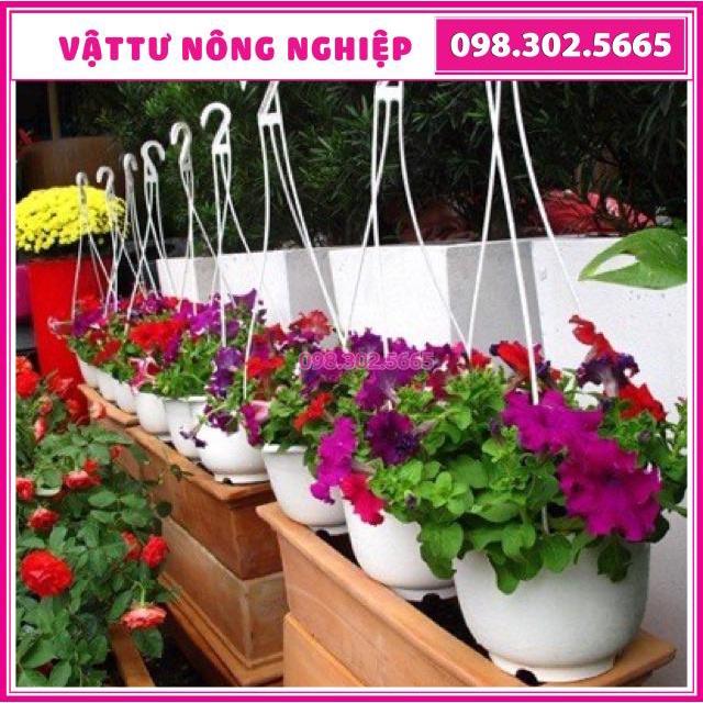 Combo 10 chậu nhựa có dây treo trồng cây và hoa loại rộng 16cm x Cao 12cm