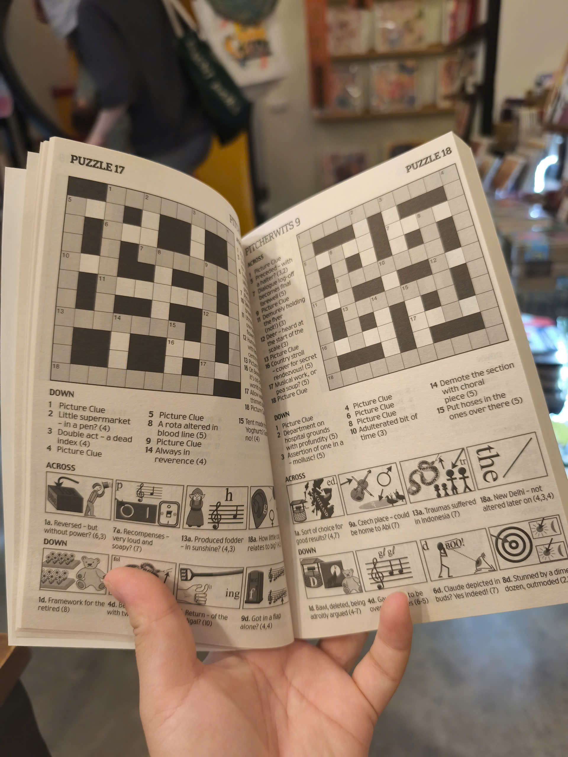 Sách - Pitcherwits 9 - Picture Puzzle | Games / Ngoại văn Nhập khẩu UK / Trò chơi giải trí