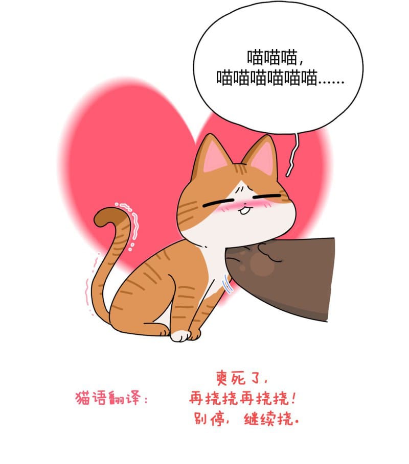 nhất hoàng cửu công thập nhị thê chapter 18 46