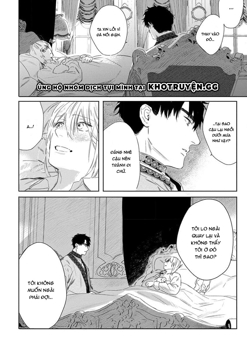 tình yêu hoa hồng dại chapter 4 28