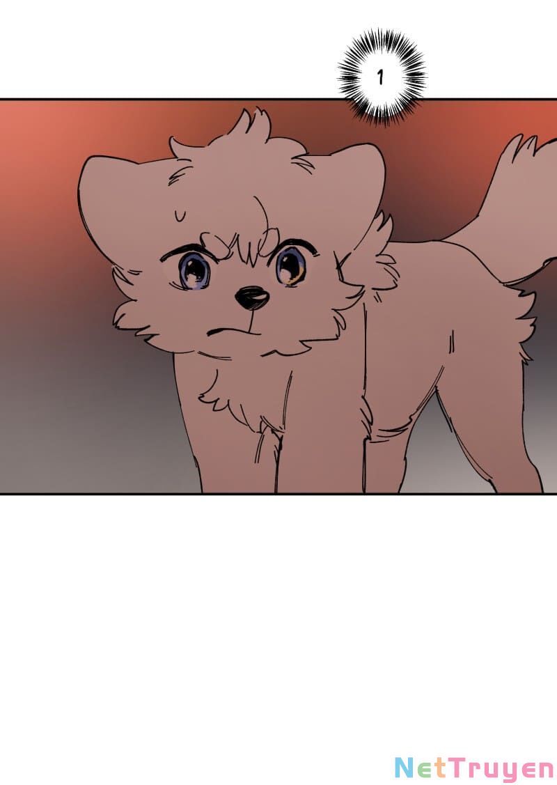 lumine - cội nguồn ánh sáng chapter 113 31