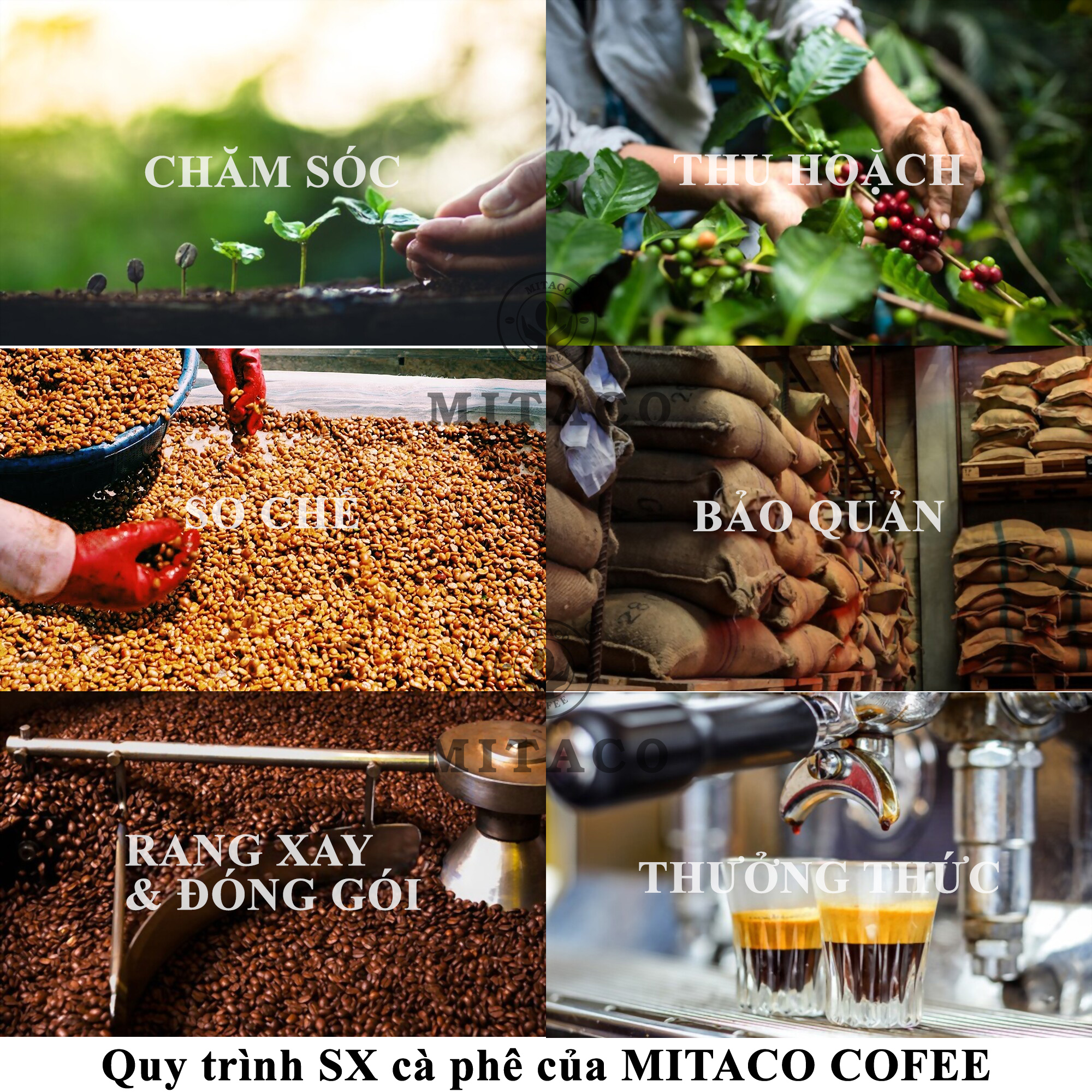 Cà Phê Pha Máy (ESPRESSO) MITACO COFFEE (Gói 500g)