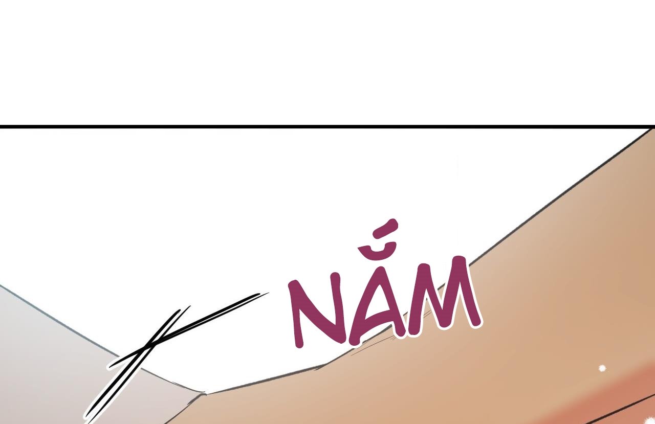 những chú thỏ của hapypy chapter 61 102