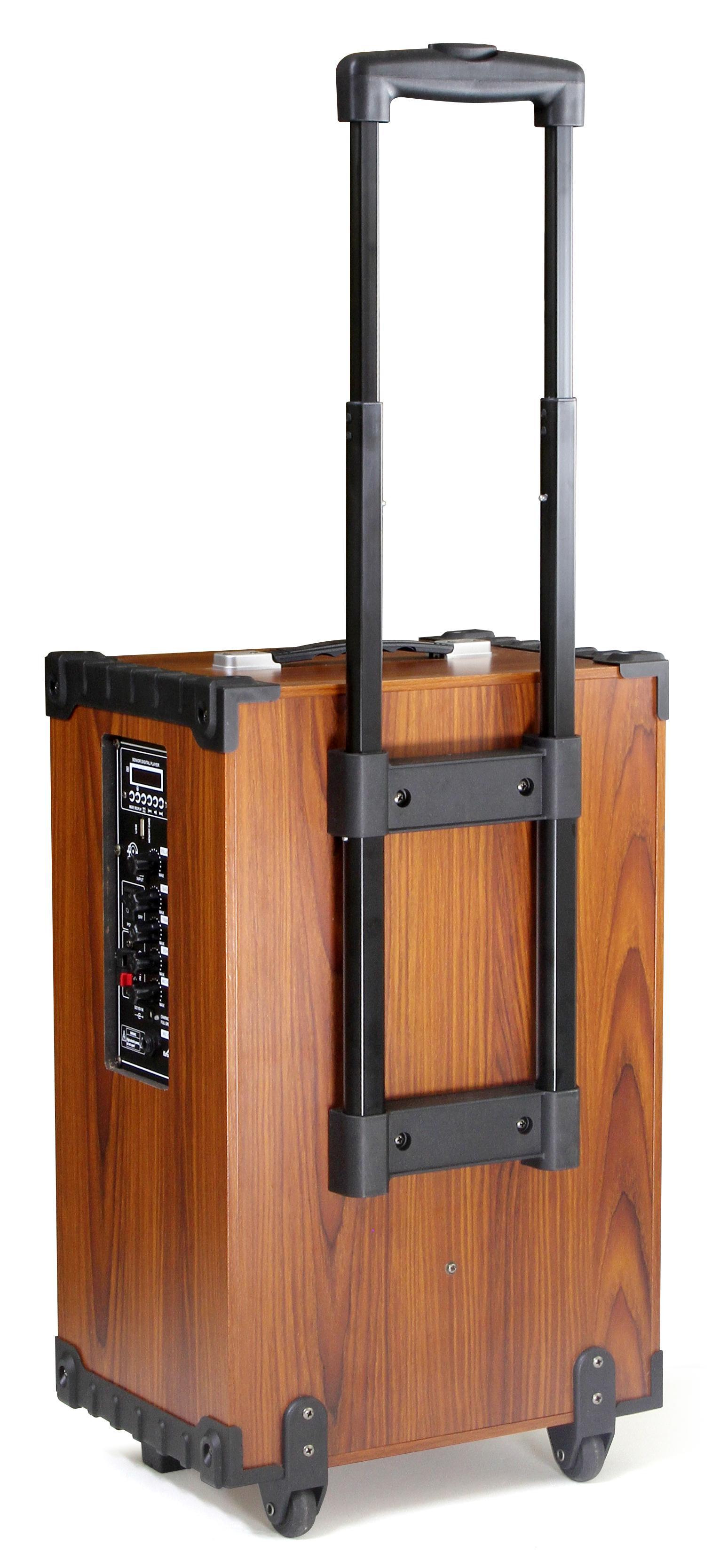 Loa kéo Arirang MKS1 300W Bass 30cm 12'' - Hàng Chính Hãng