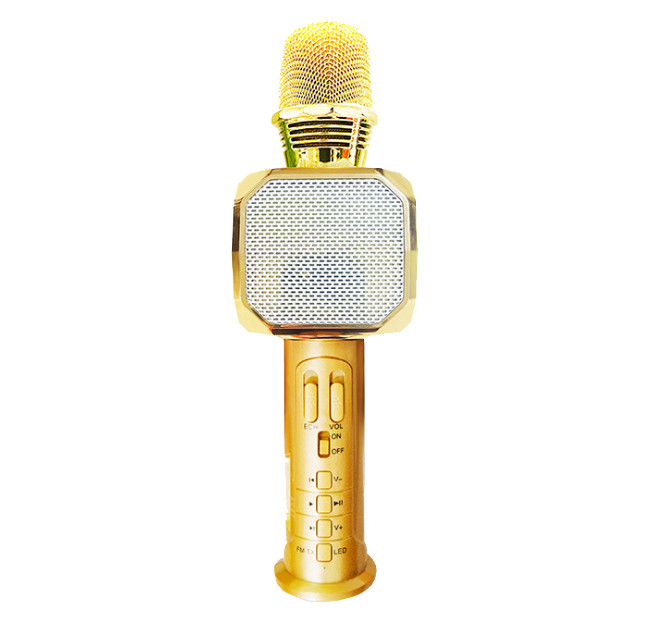 Micro karaoke Bluetooth  PF166 SD10  3 trong 1