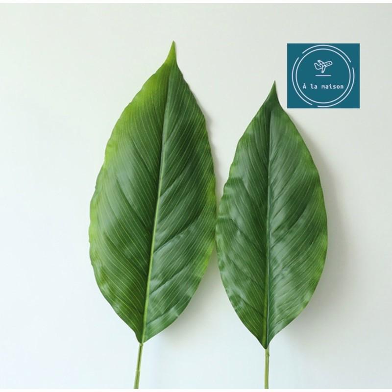 Cành lá Calathea cao 90cm dùng trong decor thiết kế chụp ảnh, trang trí nhà cửa