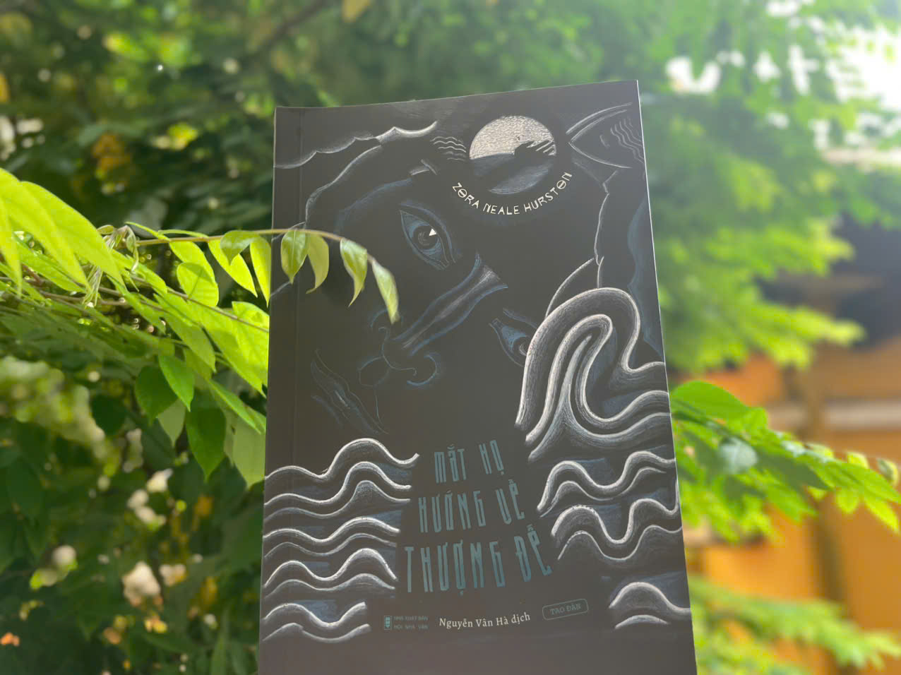 Mắt Họ Hướng Về Thượng Đế