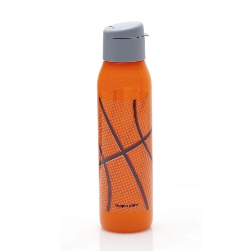 Bình nước Eco Bottle Fancy 500ML