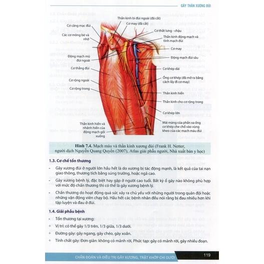 Sách - Chẩn đoán và đ.trị gãy xương trật khớp chi dưới