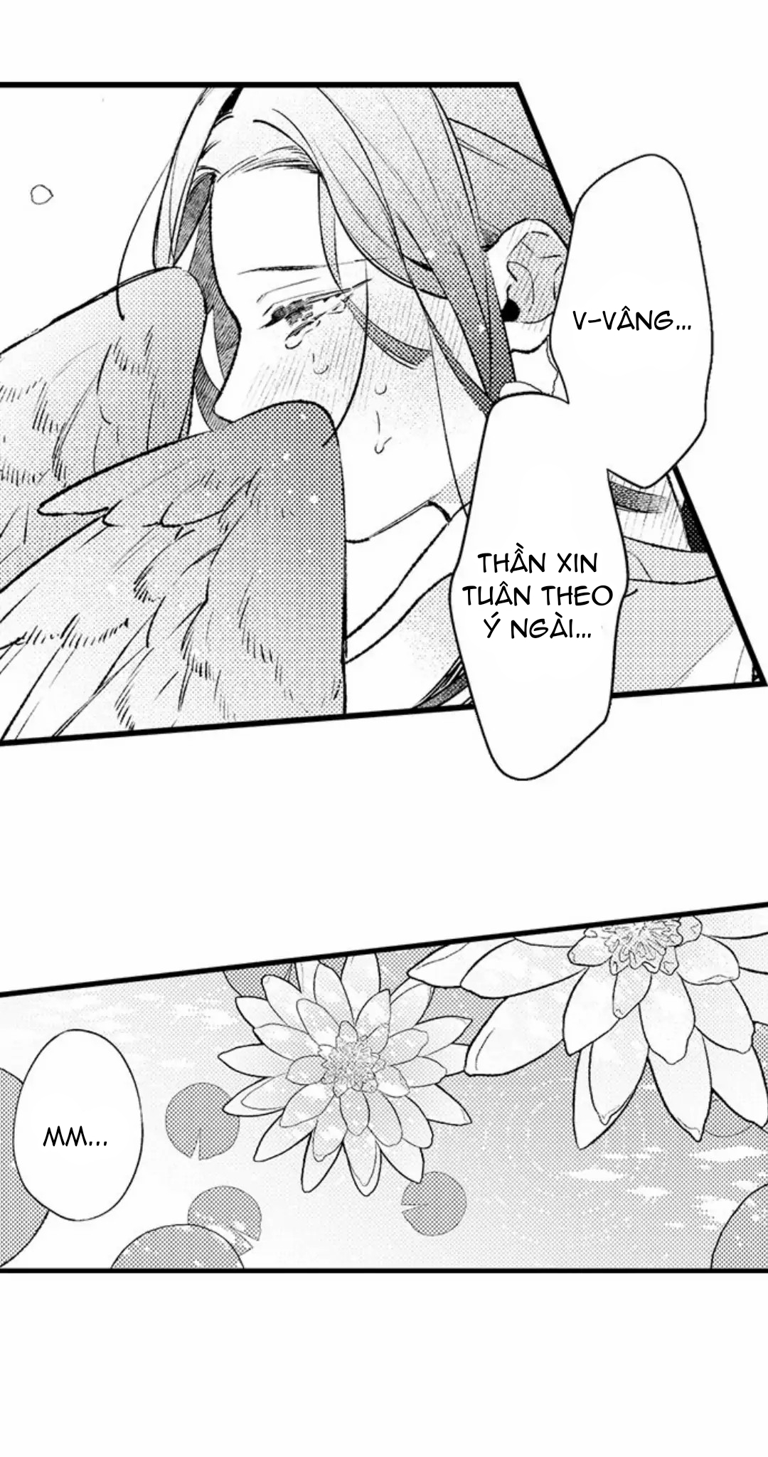 điểu thượng minh hoa chapter 10.1 3