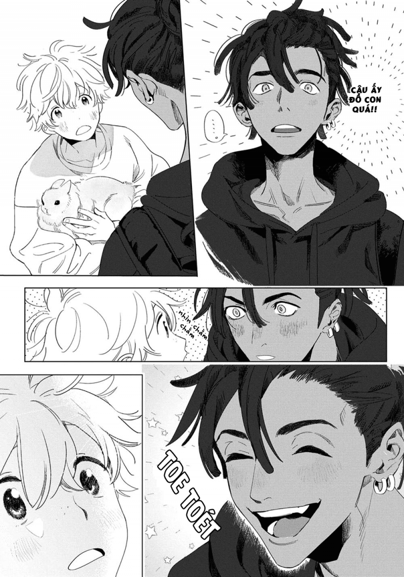 đất nước của những chú sư tử chapter 1 14