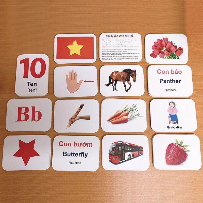 Bộ Thẻ Học Thông Minh 19 Chủ Đề Loại To - Flash Card Về Thế Giới Xung Quanh
