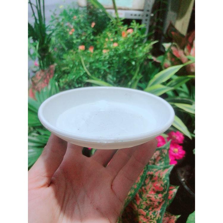 Đĩa Lót Chậu đường kính 14cm