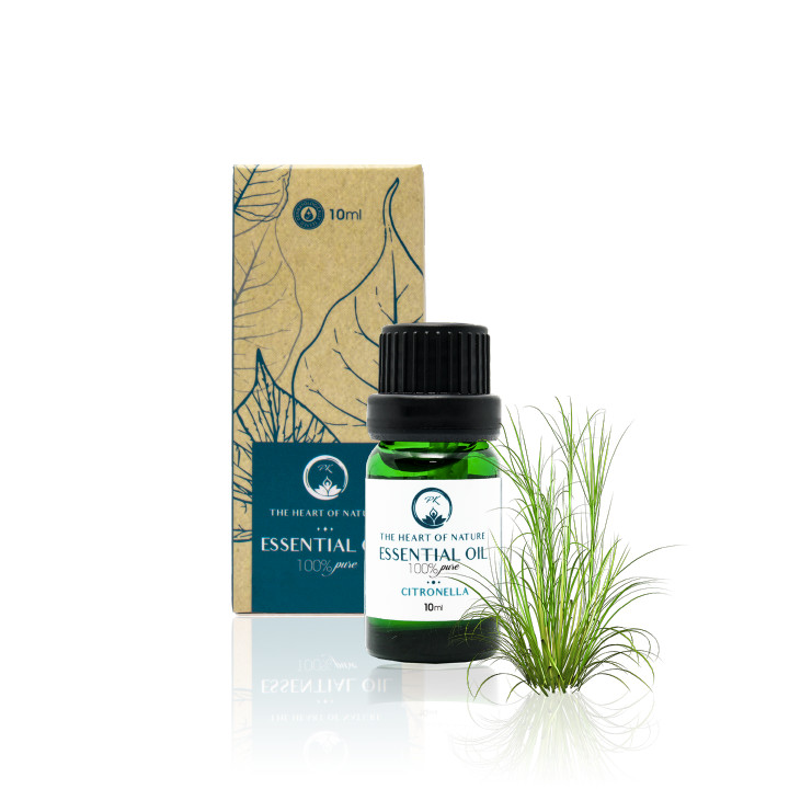 Combo tri ân - tinh dầu Sả Java - Bạc Hà - Tràm Trà - tặng xịt phòng lavender