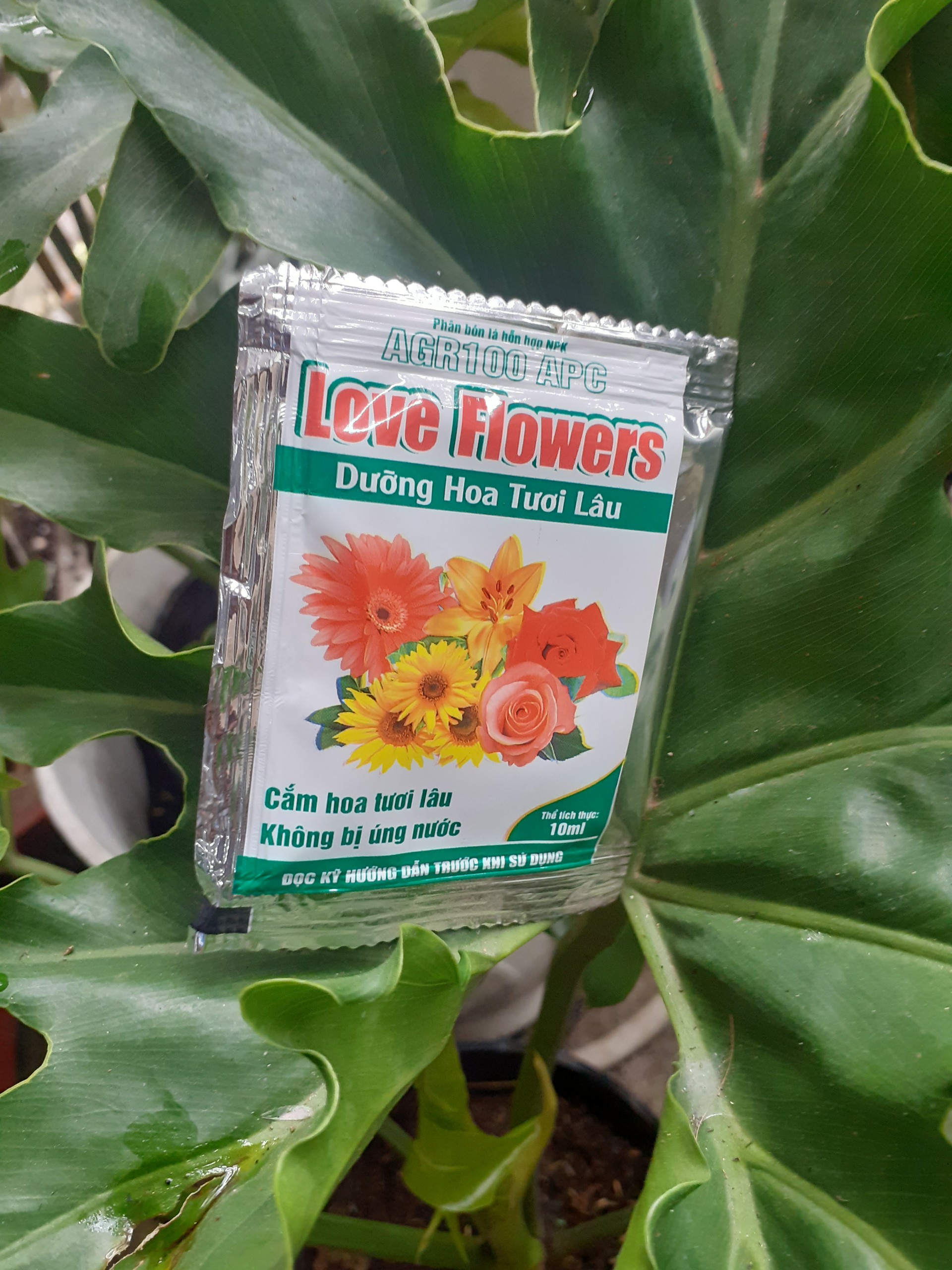 Combo 5 gói dưỡng hoa tươi lâu .