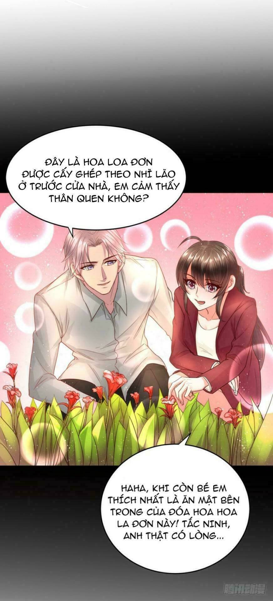 mộ thiếu, lão bà ngươi trọng sinh lại rồi! chapter 32 15