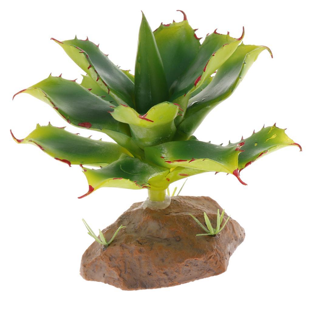 2 Piece Succulent Plant with Resin Base Reptile Terrarium Vivarium Ornament