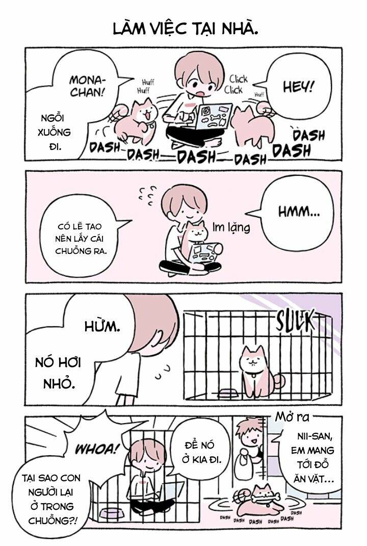 chú mèo kỳ diệu kyuu-chan chapter 675 3