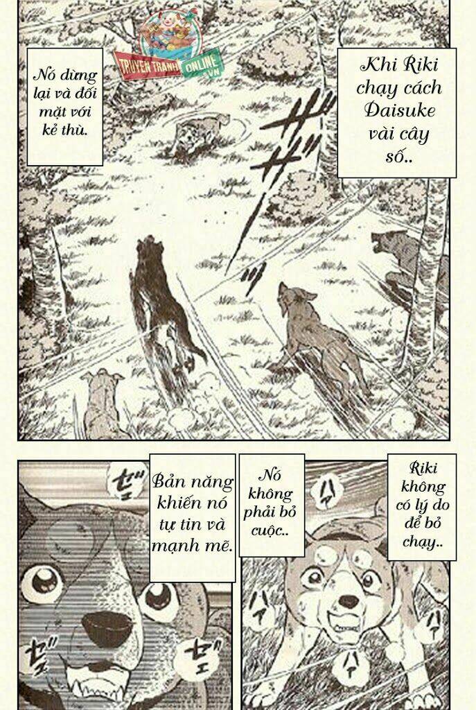 ginga densetsu riki chapter 4 25