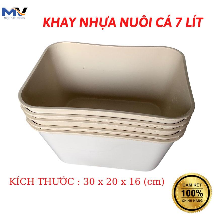 Khay nhựa nuôi cá Guppy kích thước 30x20x16 cm
