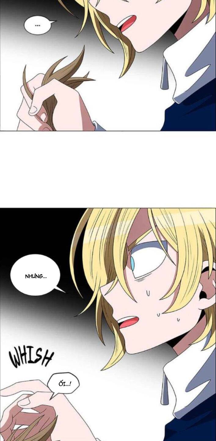 no scope chapter 116 29