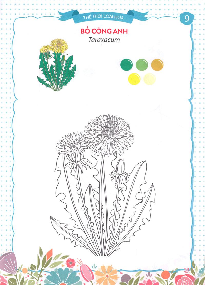 Thế Giới Loài Hoa - Sắc Màu Của Bé 6