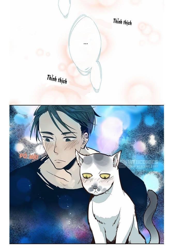 thời khắc ấy, chúng ta gặp nhau chapter 4 13