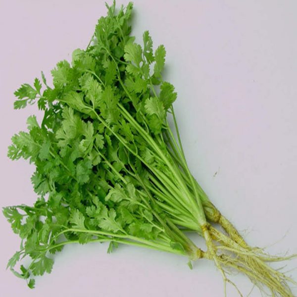 Hạt Giống Rau Thơm Parsley, Ngò Tây, Rau Mùi Tây Giống Rất Thơm Gói 1gram
