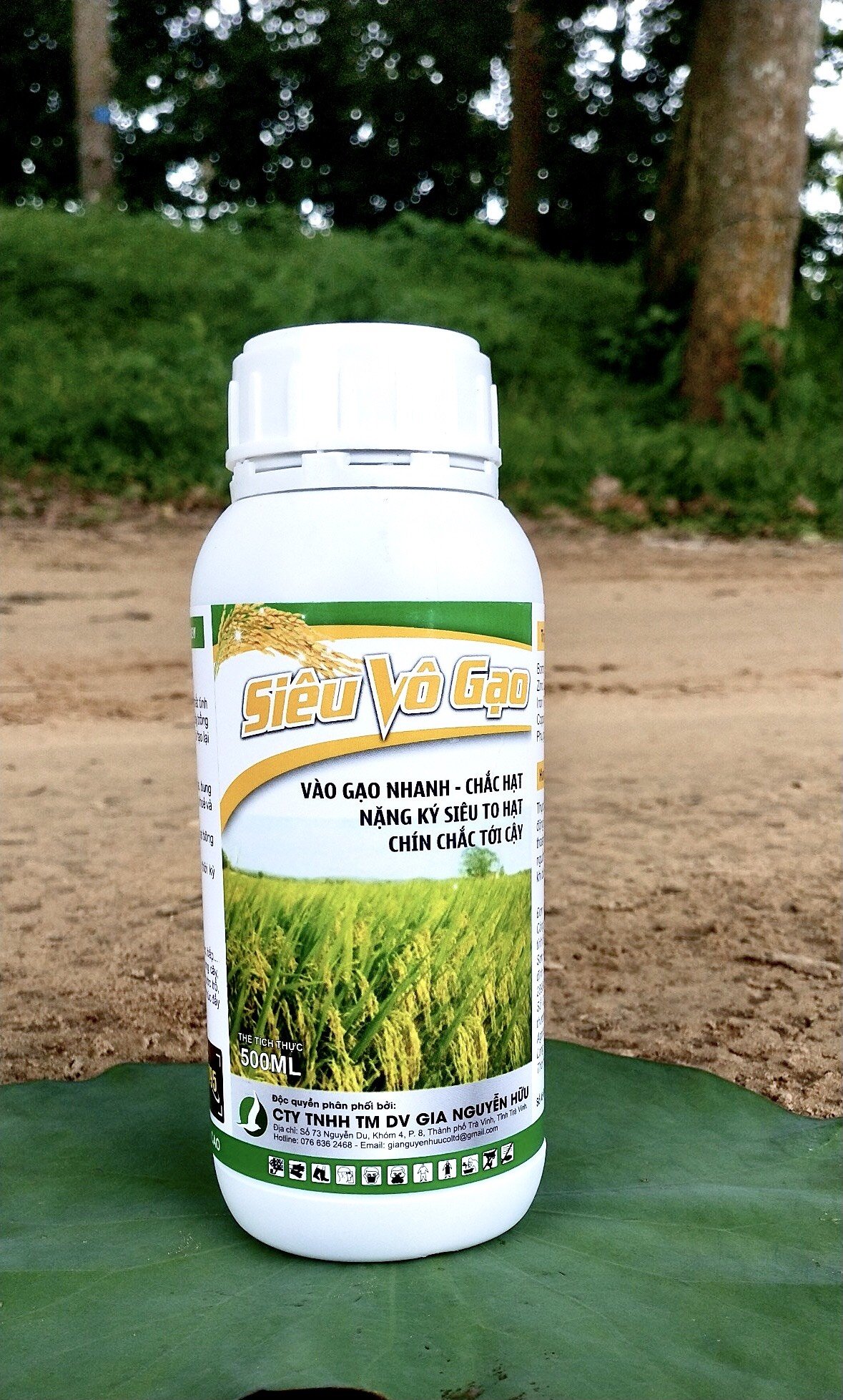 SIÊU VÔ GẠO - vô gạo nhanh, chắc hạt, nặng ký