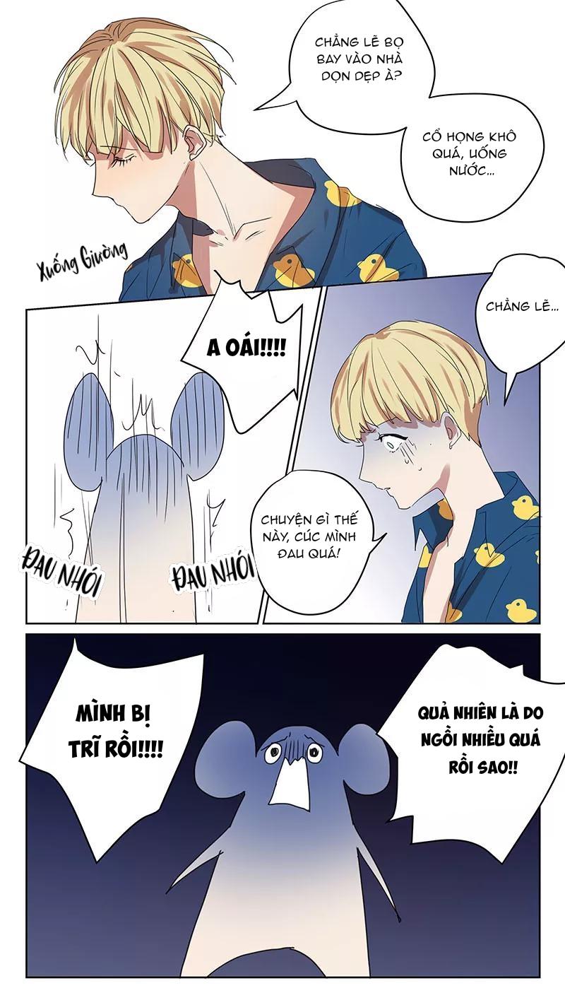 ghét cậu thích cậu chapter 66 7