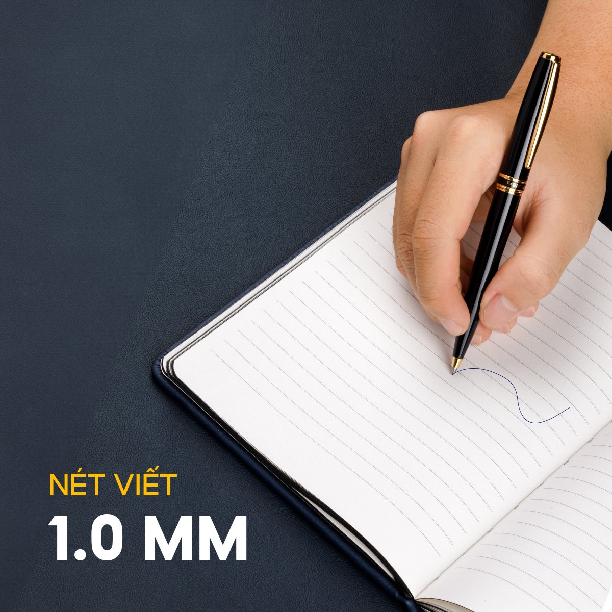 Bút bi, bút ký cao cấp Thiên Long mạ vàng 18K sang trọng, thân bút kim loại, hộp bút được thiết kế tinh tế Biz-04