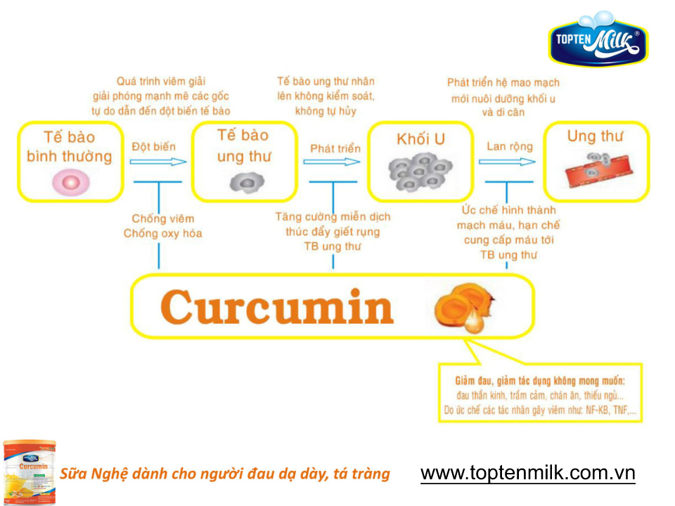 Sữa nghệ curcumin 400g TOPTEN Milk sữa bột cho người bị đau dạ dày tá tràng,phụ nữ sau sinh ,đẹp da