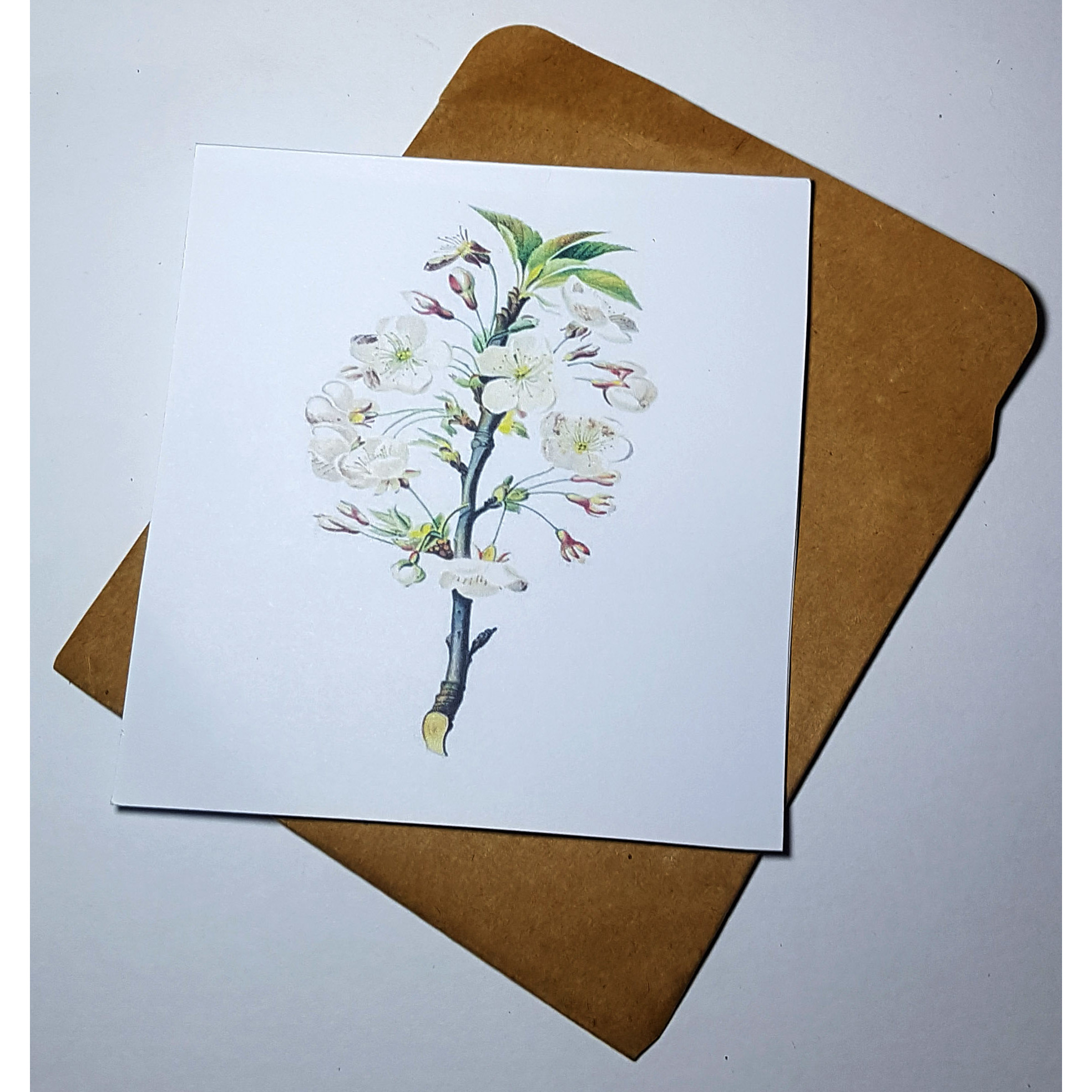 Thiệp phong cách Vintage card quà cám ơn ,chúc mừng sinh nhật và giử tặng người thân yêu