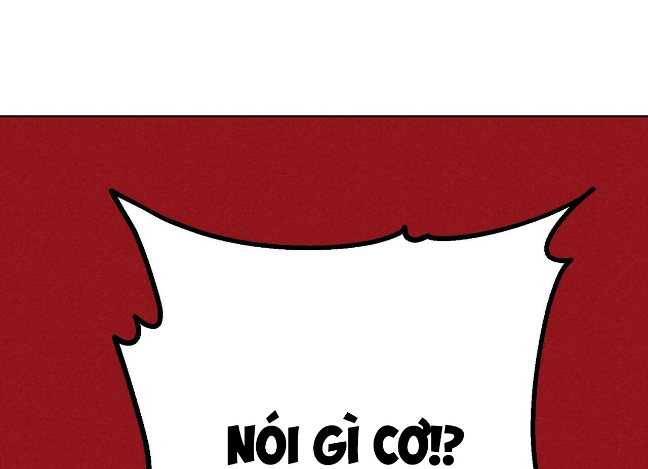 chàng dâu nhà họ kang chapter 5 134