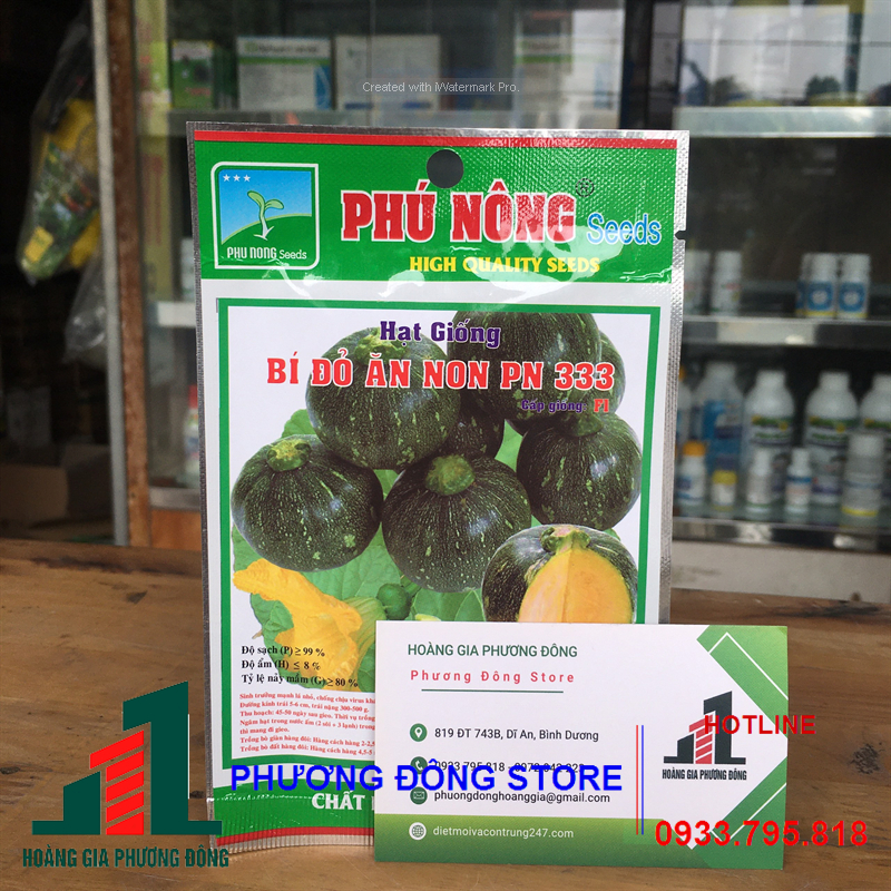 Combo 5-10 gói Hạt giống bí đỏ ăn non chất lượng cao, dễ trồng