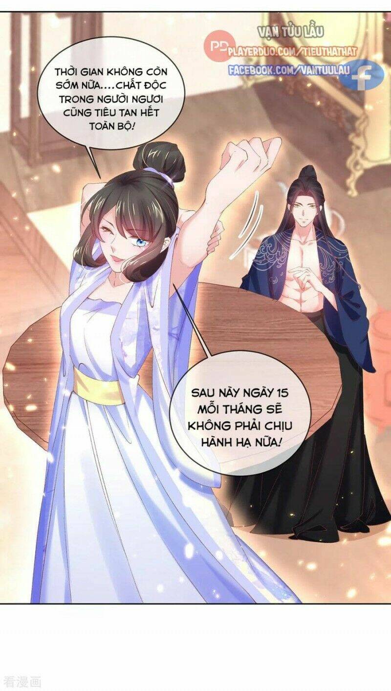 thị huyết y phi chapter 98 1