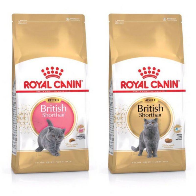 Royal canin britsh shorthair hạt cho mèo túi 2kg