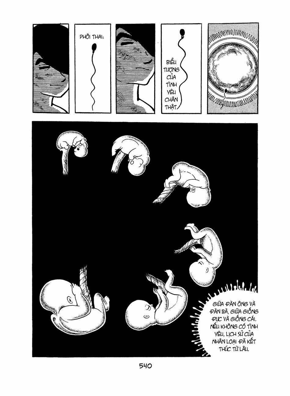 apollo’s song chapter 5 28