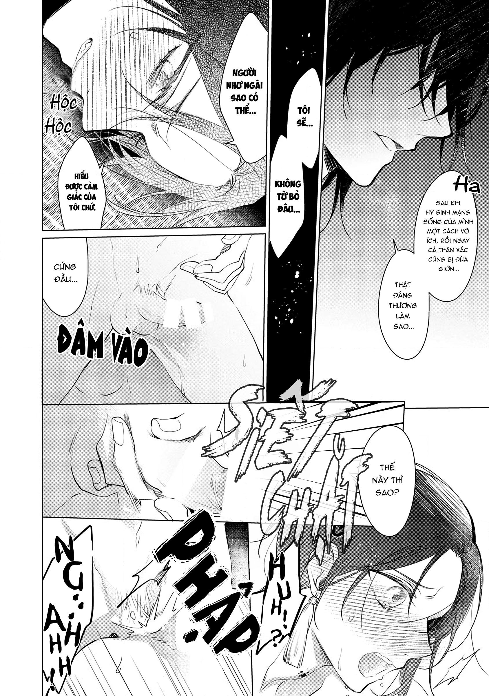 vị thần diều hâu & tế phẩm đáng thương chapter 2 20