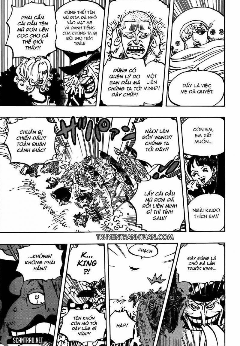 đảo hải tặc - one piece chapter 981 15