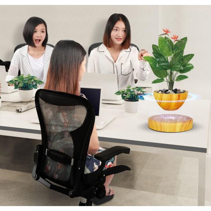 Cây bonsai bay lơ lửng vân gỗ Đen - Home & Garden