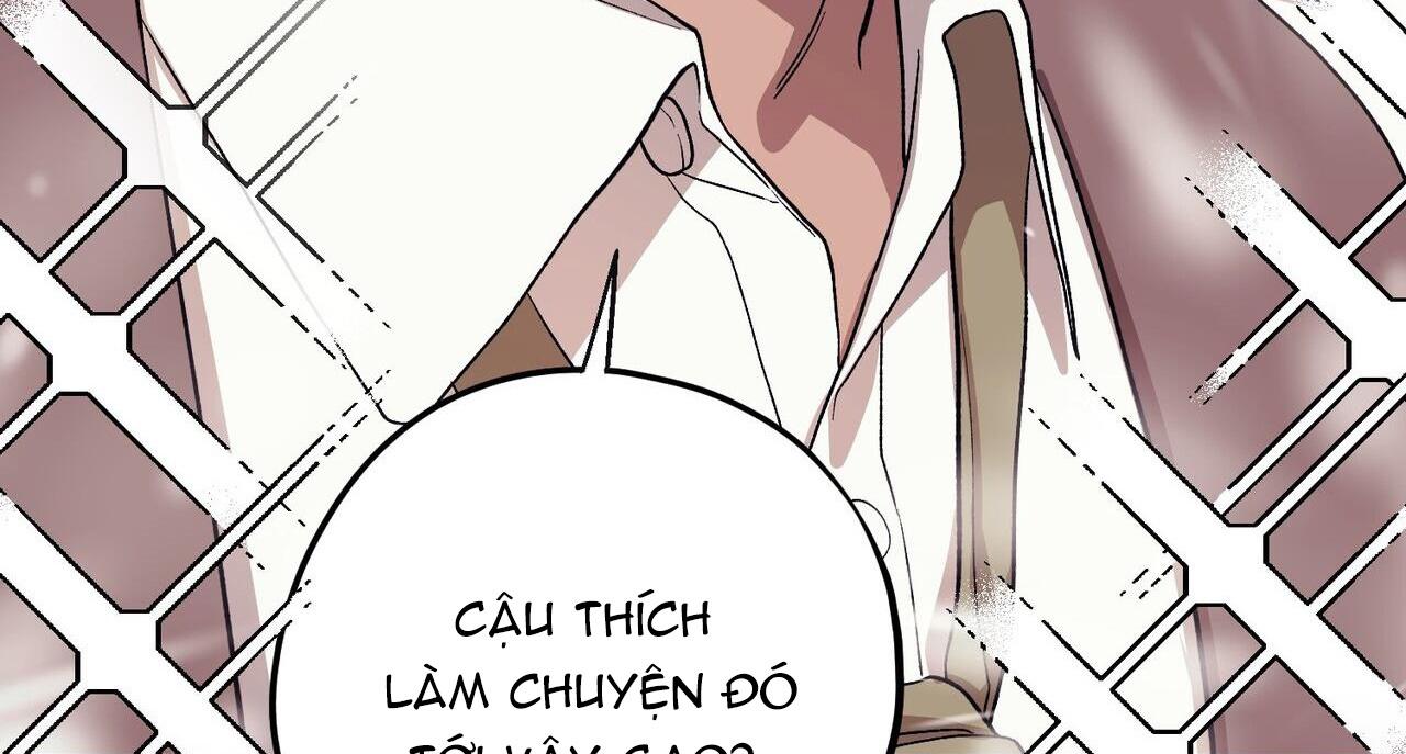 chàng dâu nhà họ kang chapter 58 68