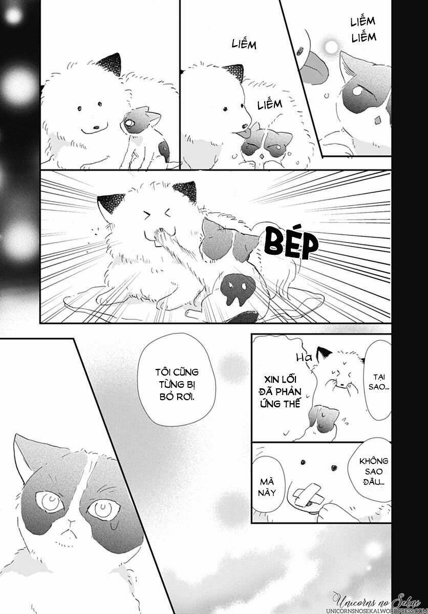 kimi to wonderland chapter 5 21