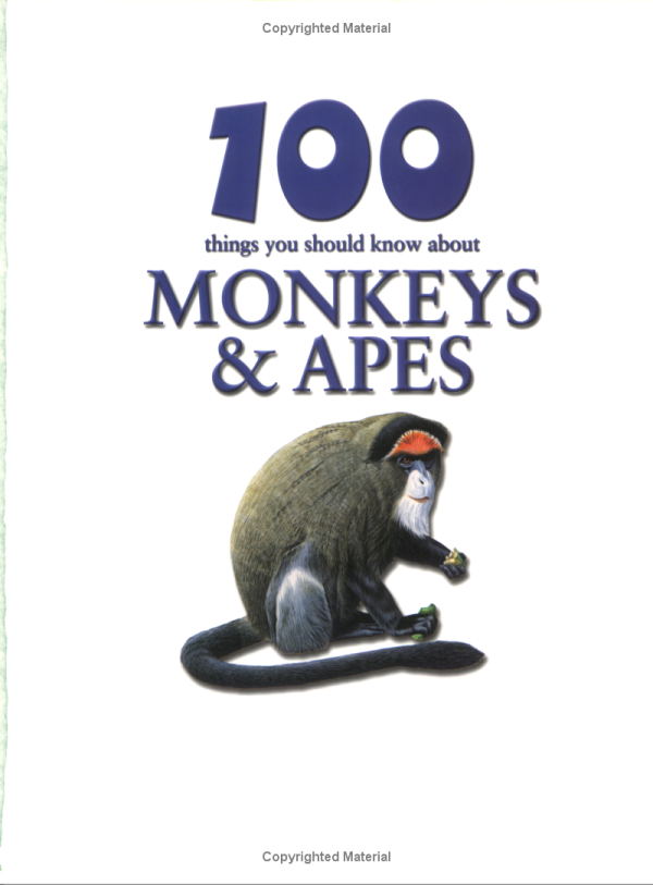 Monkeys and Apes