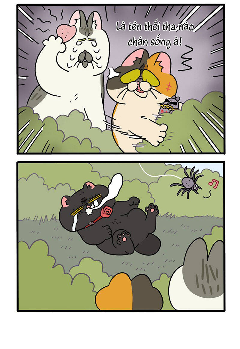 a mãn và mạch trà chapter 37.1 4