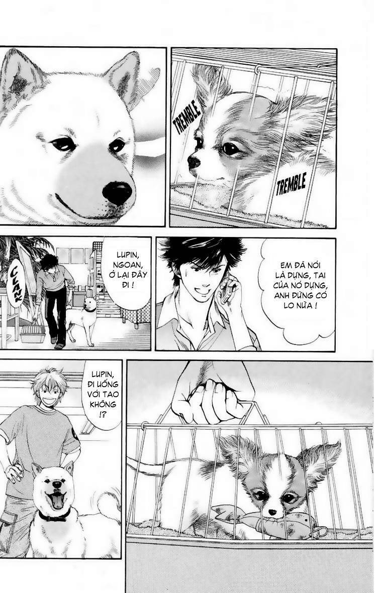 cô nàng yêu chó chapter 14 4