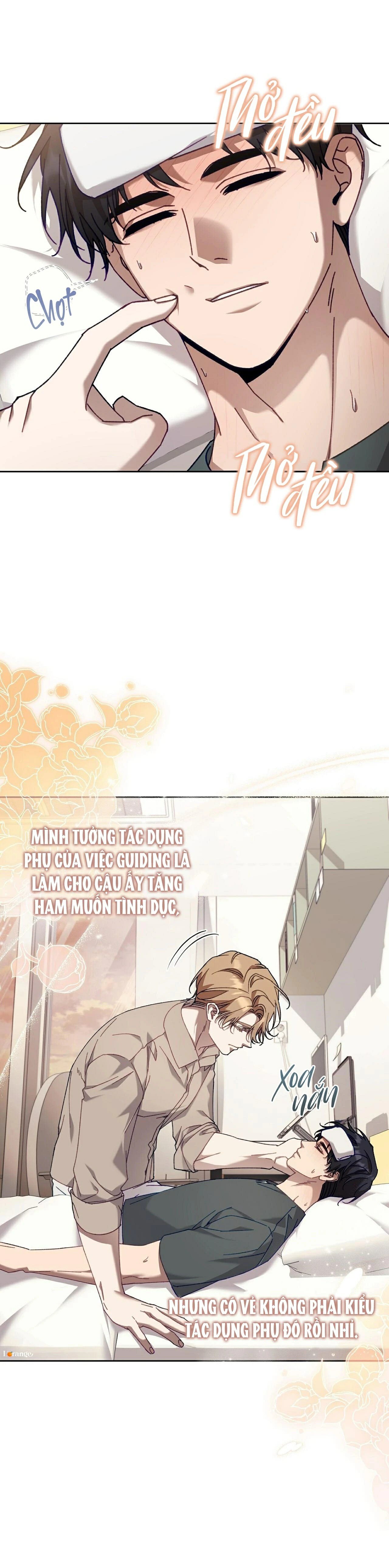 guide cấp s phết mật ong chapter 40 22